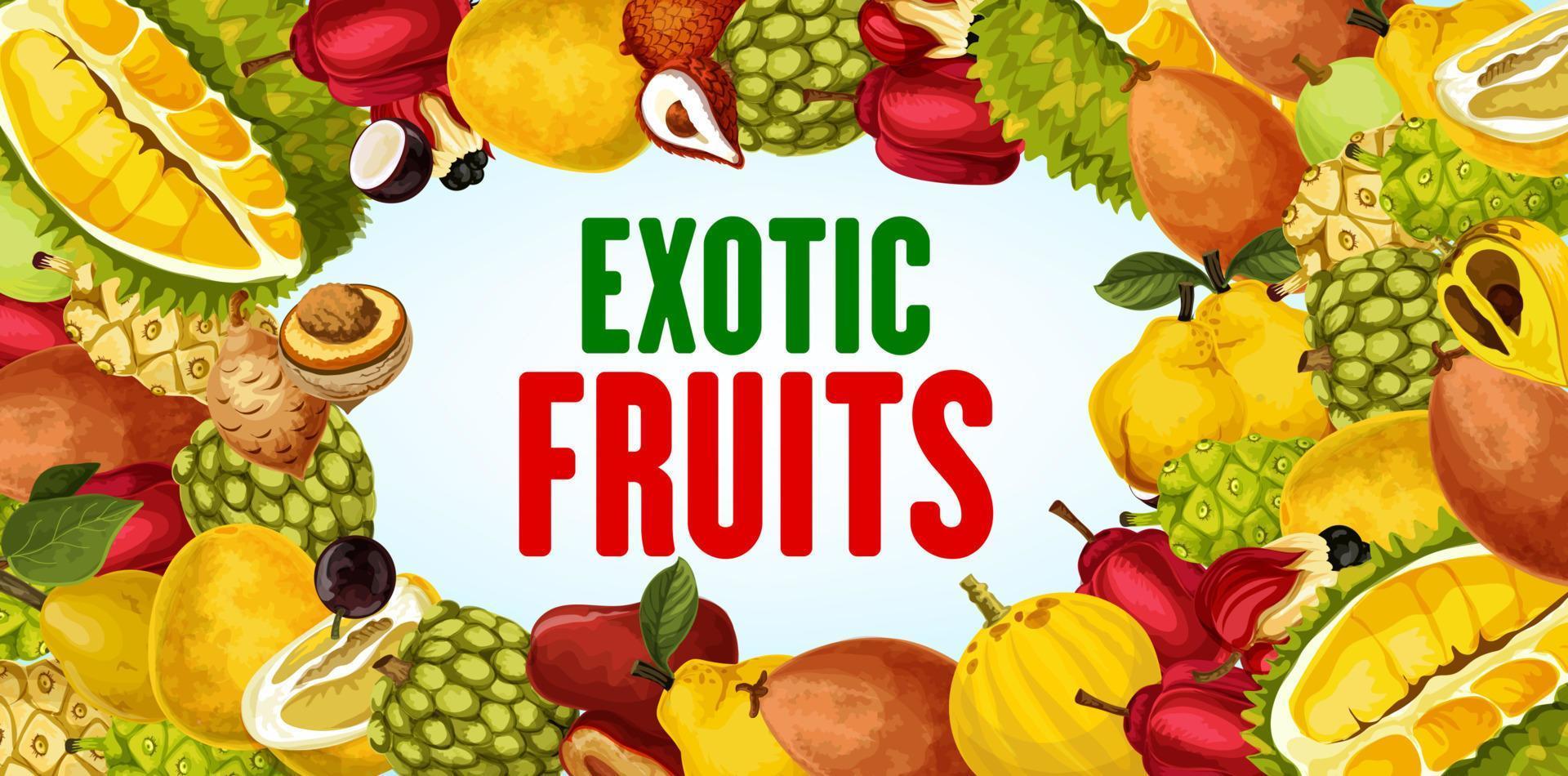 banner de marco de frutas exóticas y bayas tropicales vector