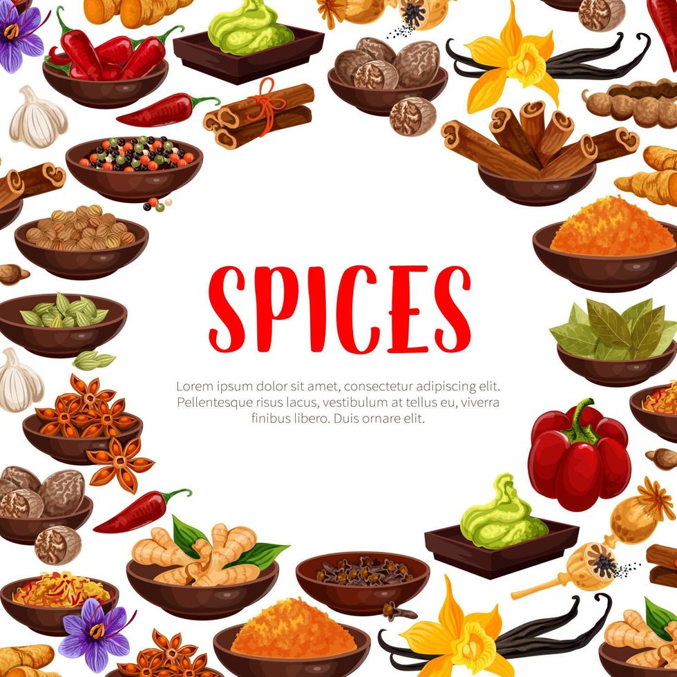 Vector poster of spices and seasonings