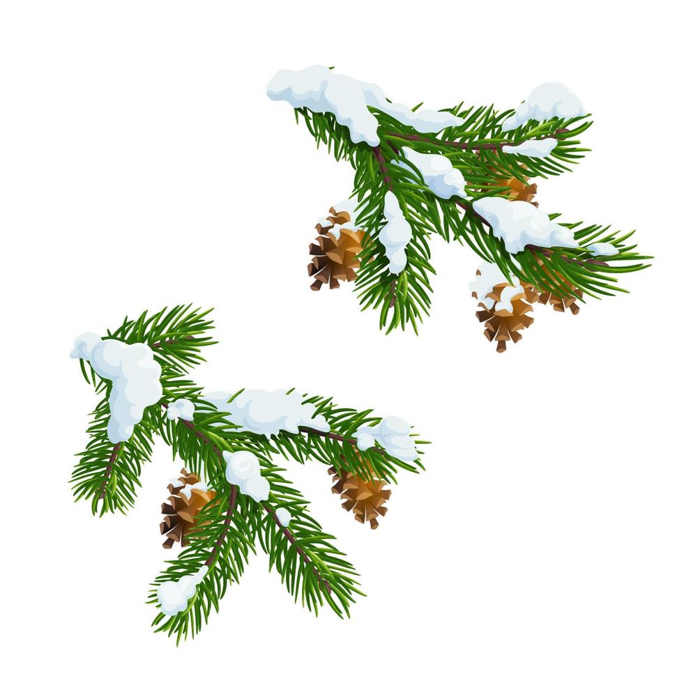 Christmas pine and fir branches in snow vector