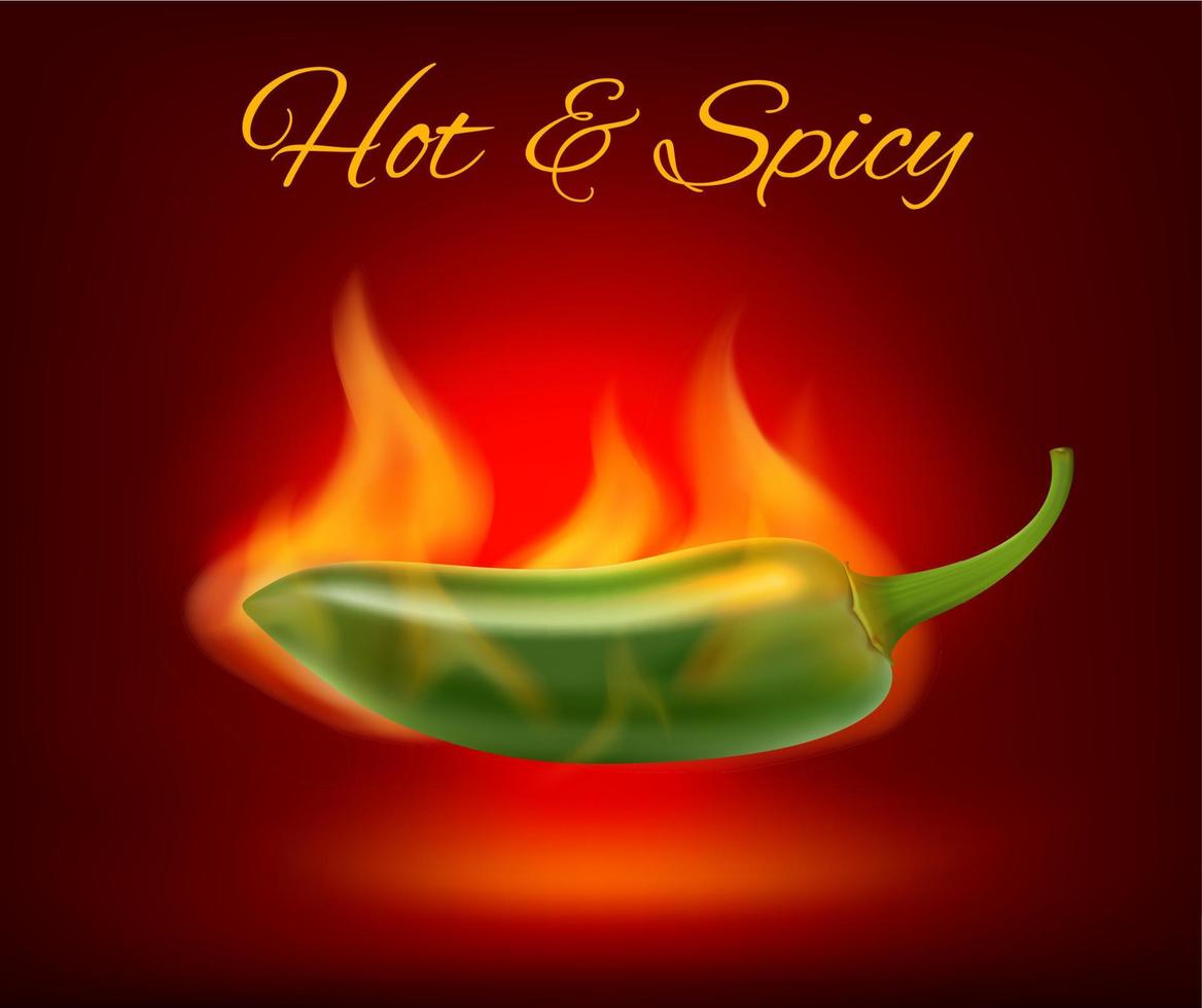 Mexican jalapeno hot chili pepper in fire flame vector