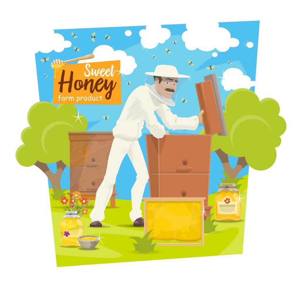 Beekeeping apiary, bees and beekeeper vector