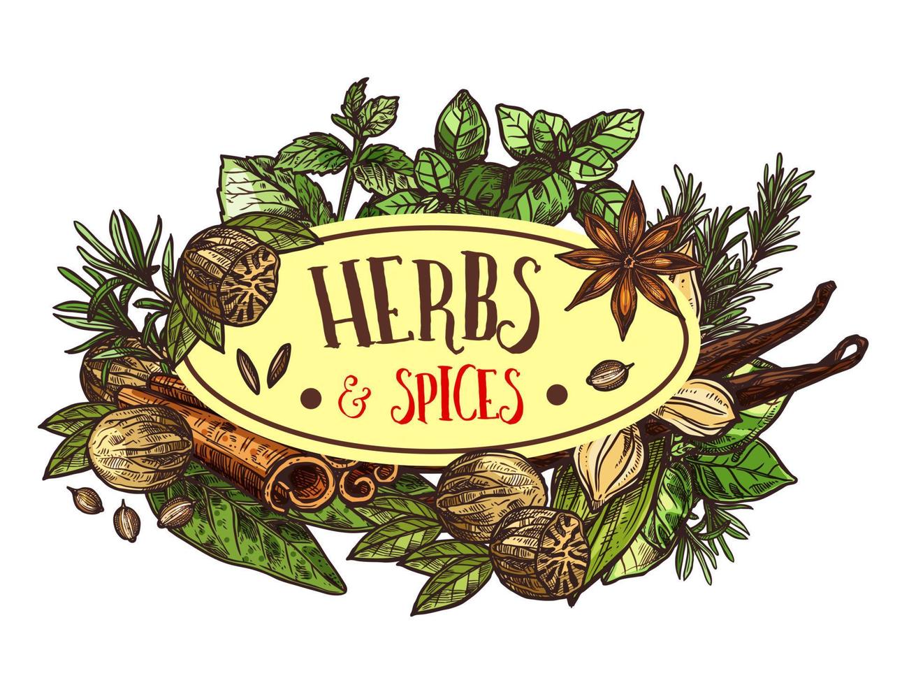Herbs and spices icon with condiments around sign vector