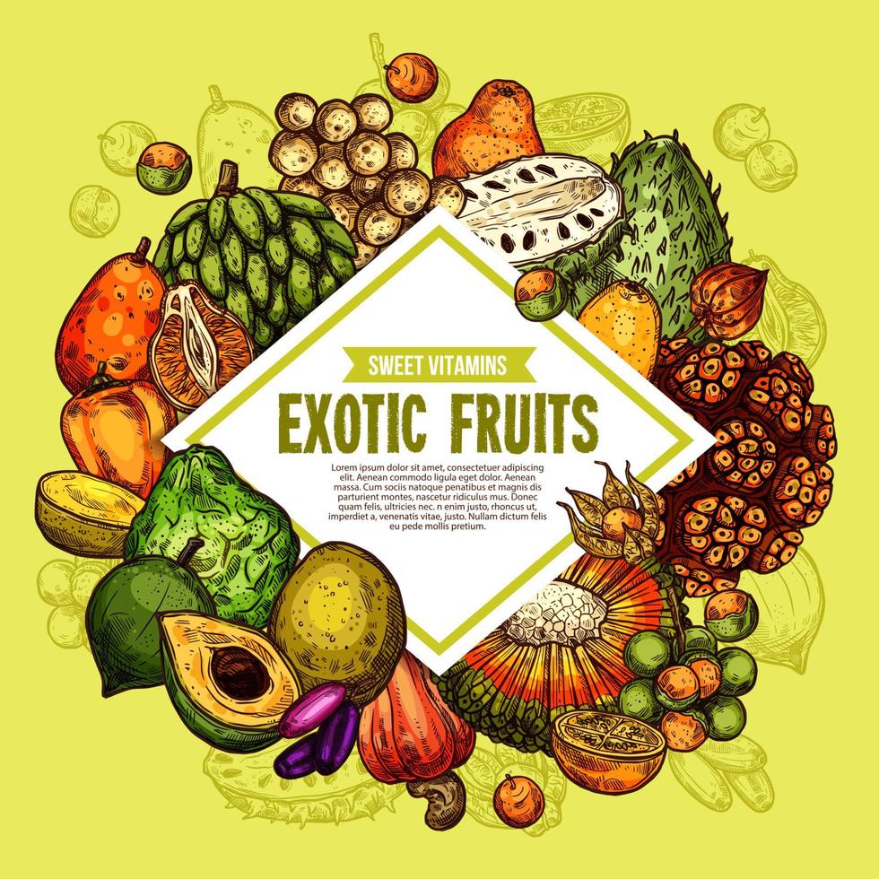 Vector poster of exotic tropical fruits
