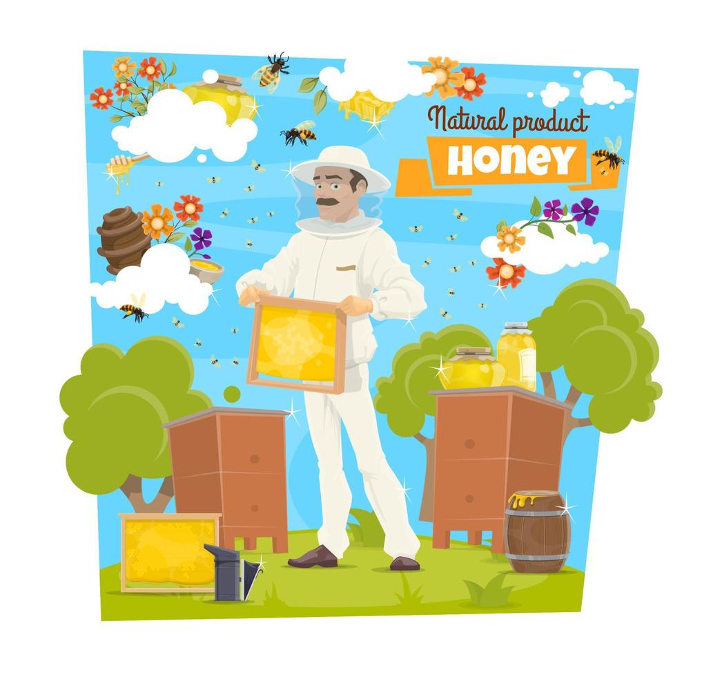 Honey, bee and beekeeper on beekeeping apiary vector