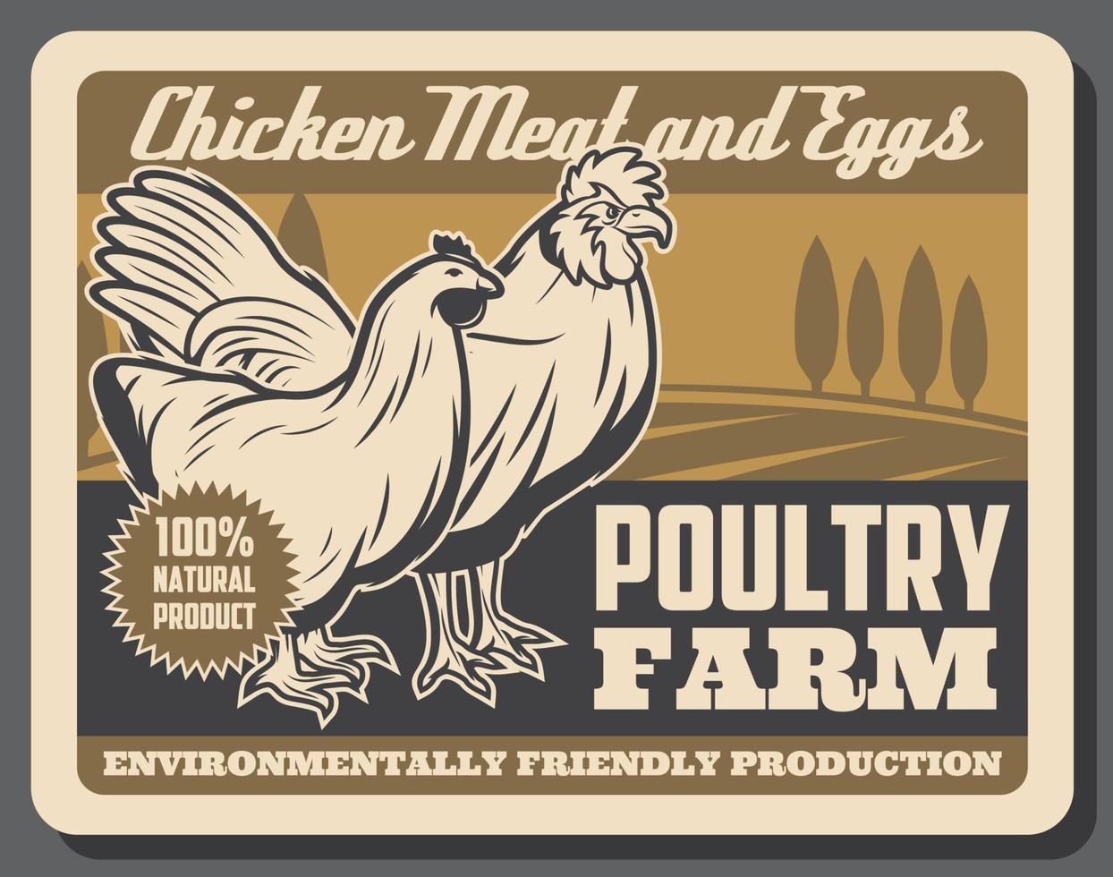 Hen and rooster. Poultry farm chicken meat, eggs vector