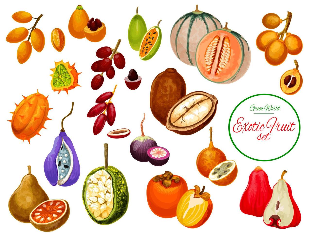 Exotic tropical fruits and berries icons vector