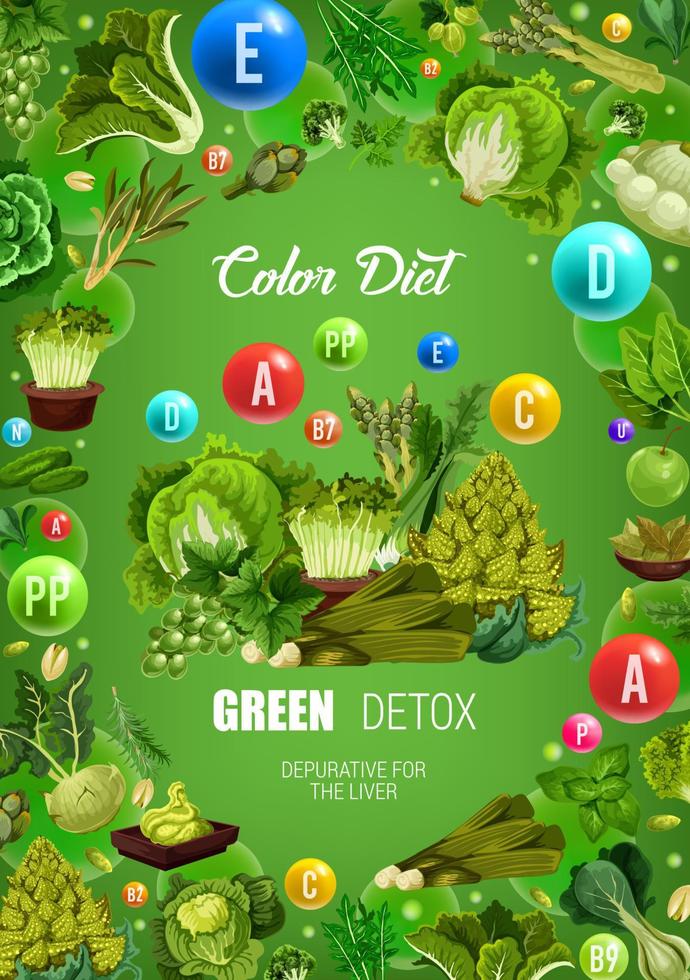 color dieta verde saludable desintoxicación alimentos nutrición vector