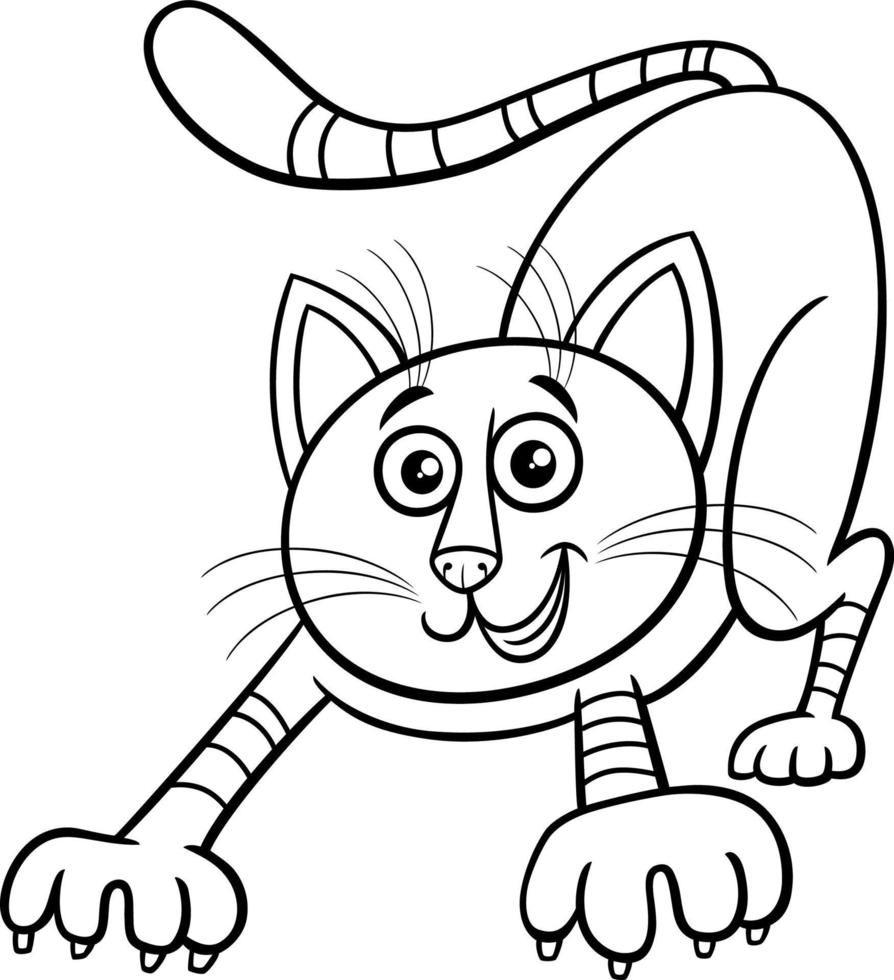 cartoon tabby cat animal character coloring page vector