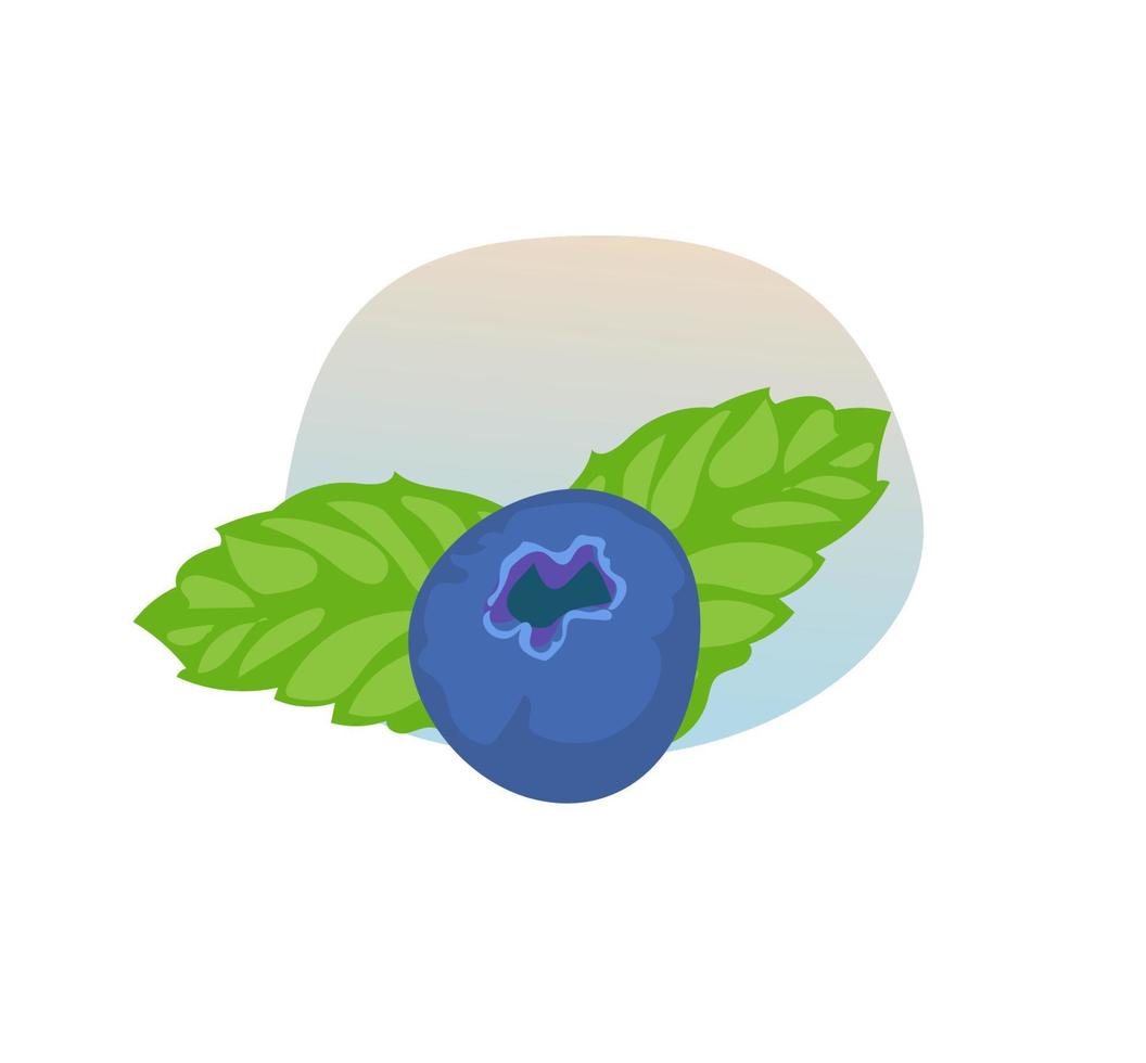 Vector blueberry and mint icon. Flat cartoon illustration