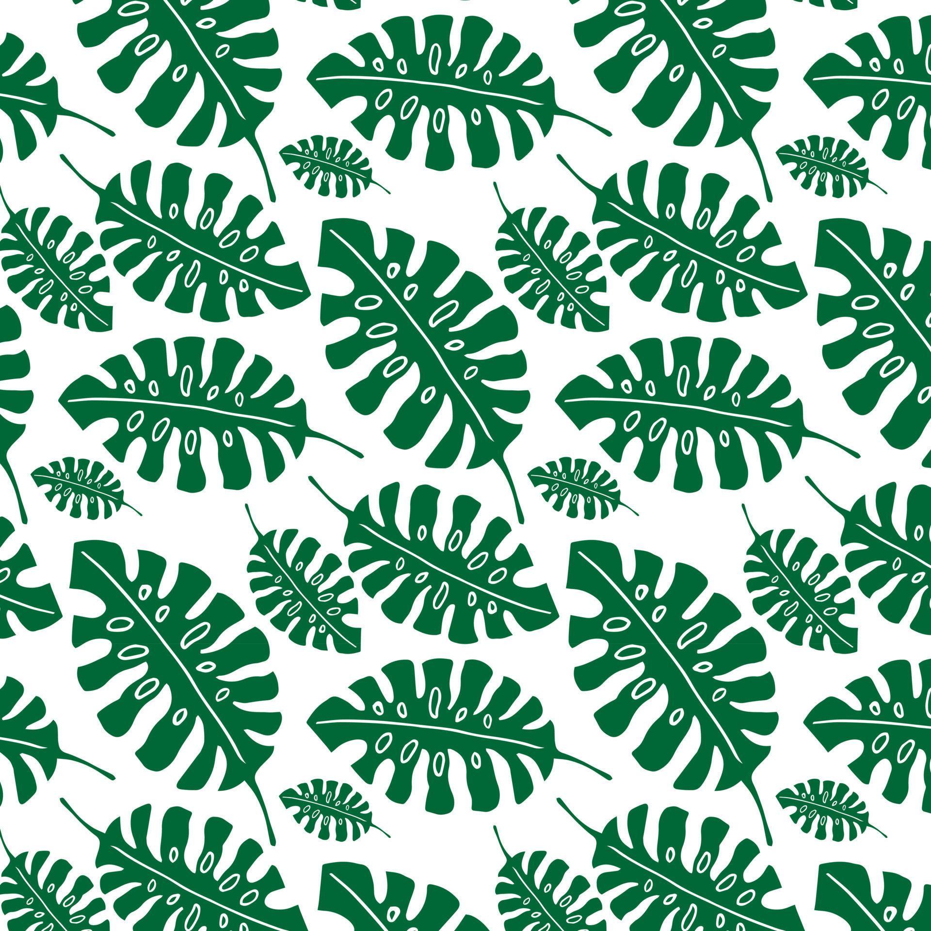 Exotic tropical banana, fern leaves pattern on the white background. Jungle vector leaves