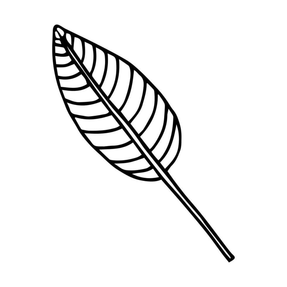 icono de línea de vector de contorno de hoja de primavera. ilustración de estilo minimalista del concepto de primavera de fideos para el diseño de libros para niños o la web. elemento del logo del árbol.