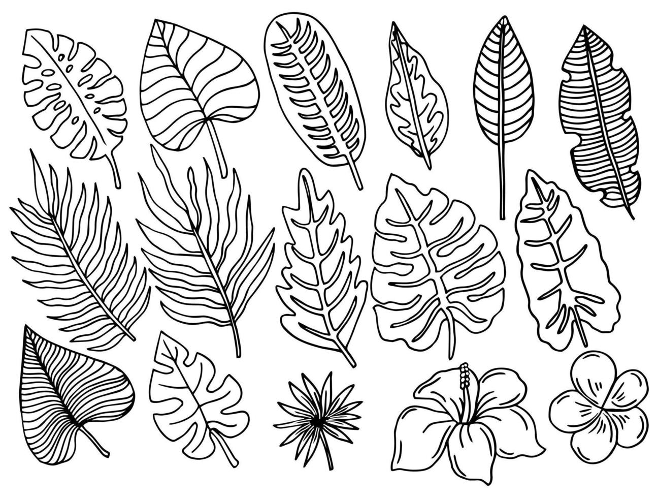 Collection of tropical leaves. Hand drawn illustrations of palm and monstera leaves. Vector isolated icons.