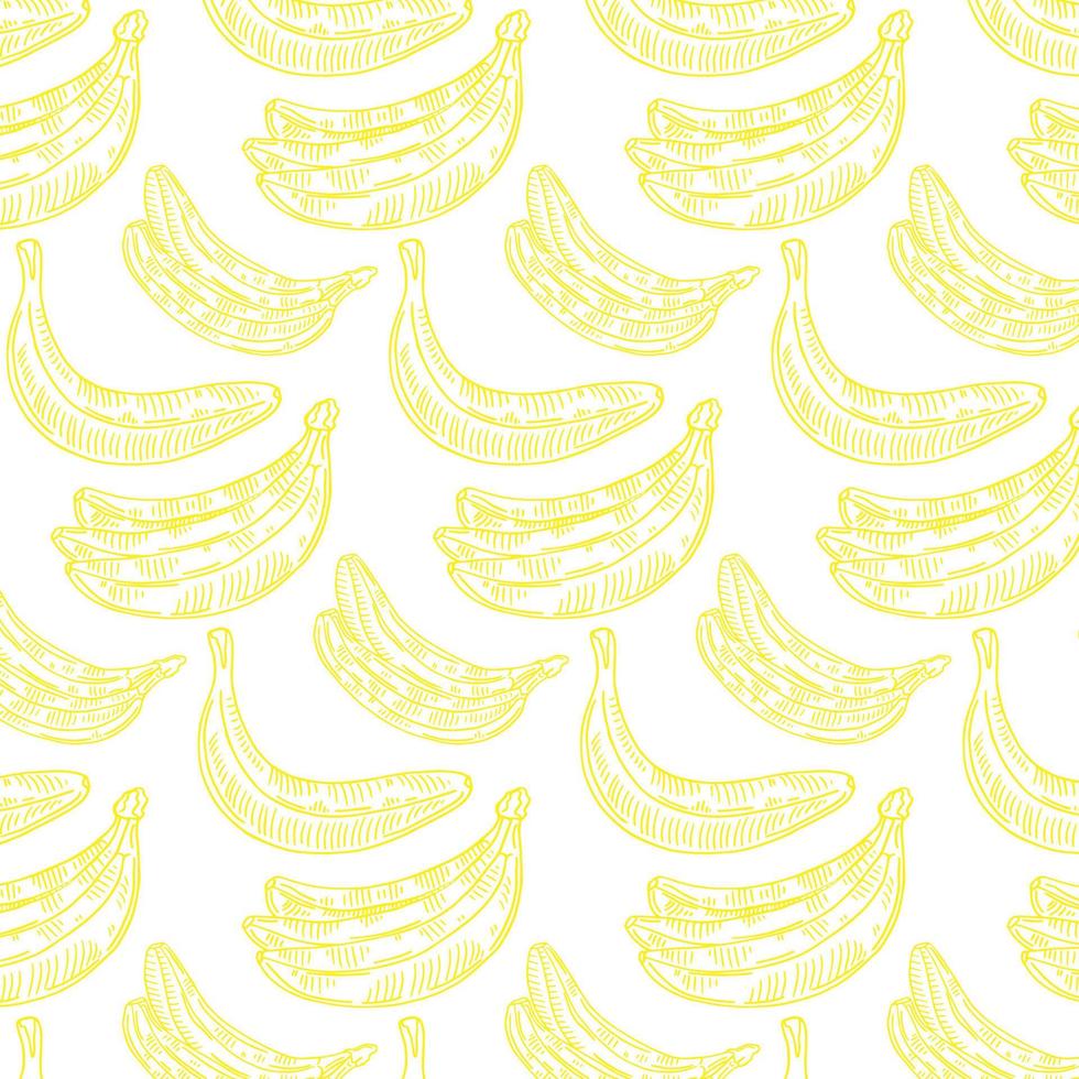 Banana Fruit Pattern On A White Background. Fresh Banana Icon Vector Illustration