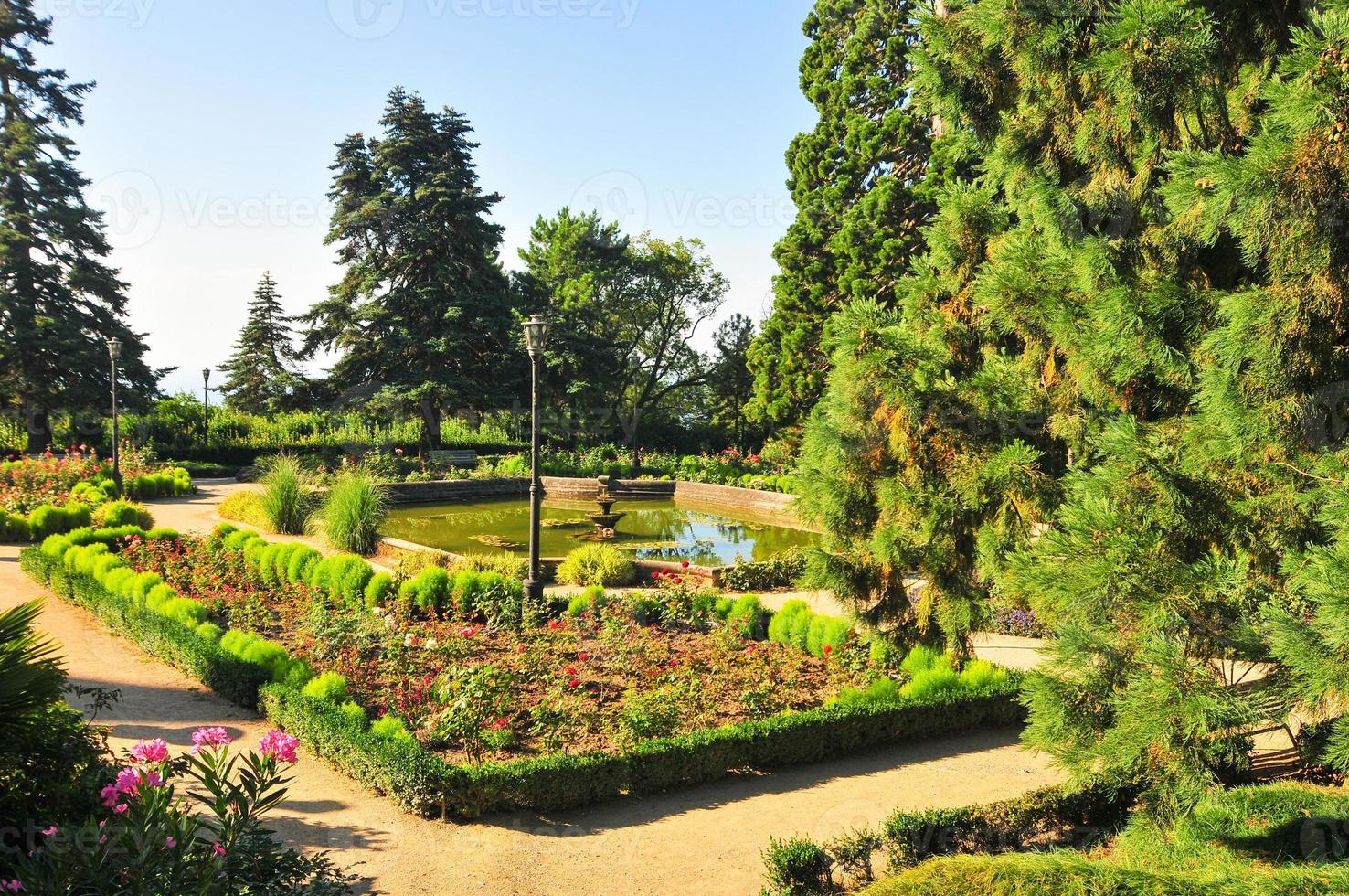 jardines del palacio massandra, yalta, crimea foto