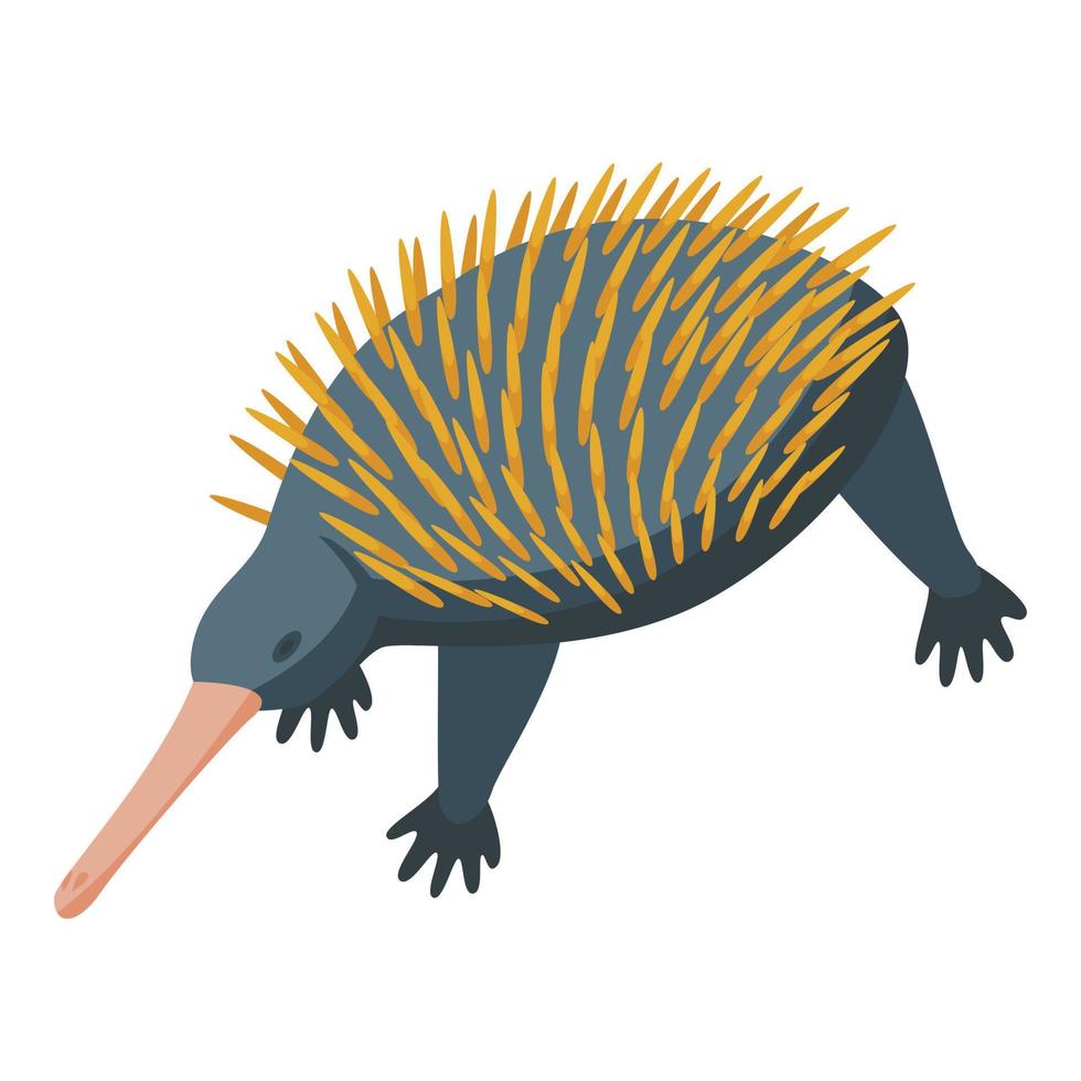 Wildlife echidna icon isometric vector. Nature animal vector