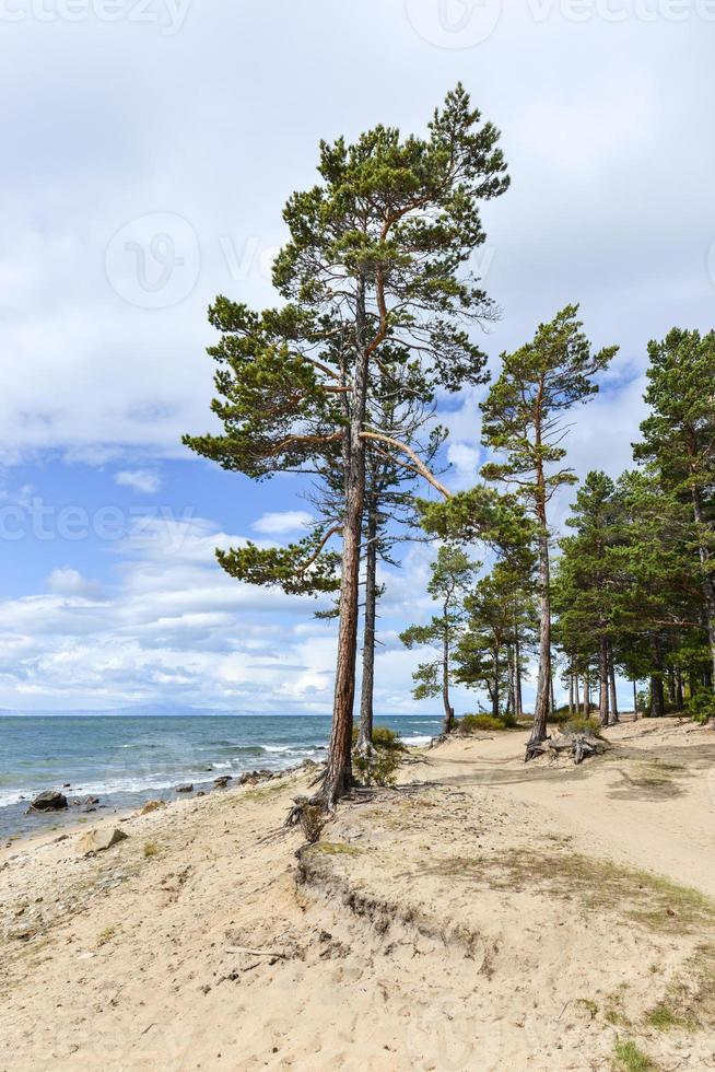 Shore of Lake Baikal photo