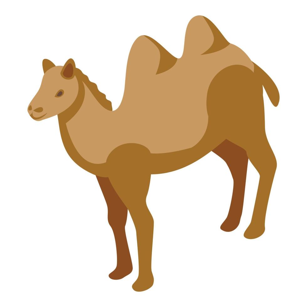 Bedouin camel icon isometric vector. Desert camp vector