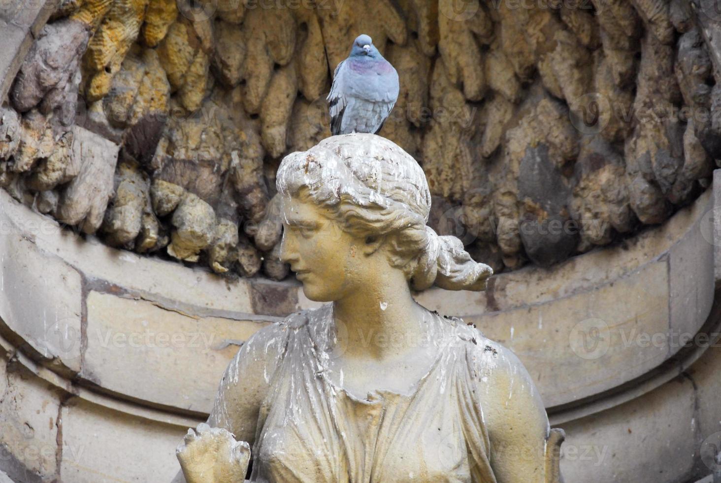 Pigeon perched on the Medici Fountain in the Luxembourg Garden, Paris, France. photo