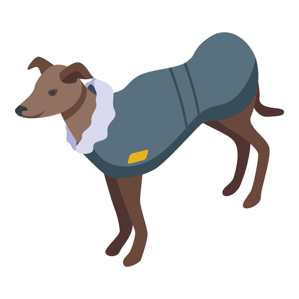 Cloth greyhound icon isometric vector. Animal pet vector