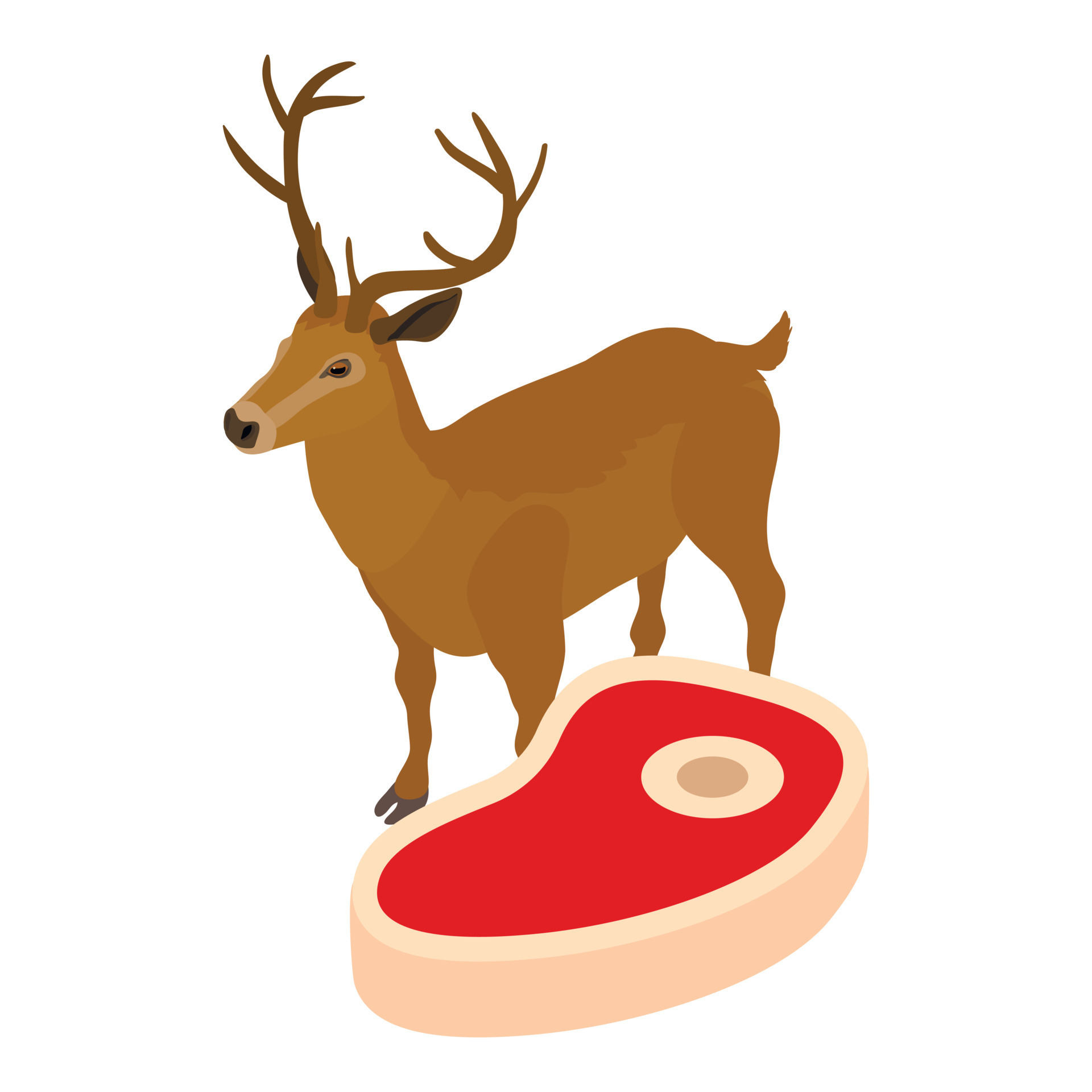 Deer meat icon isometric vector. Meat tenderloin with bone and deer