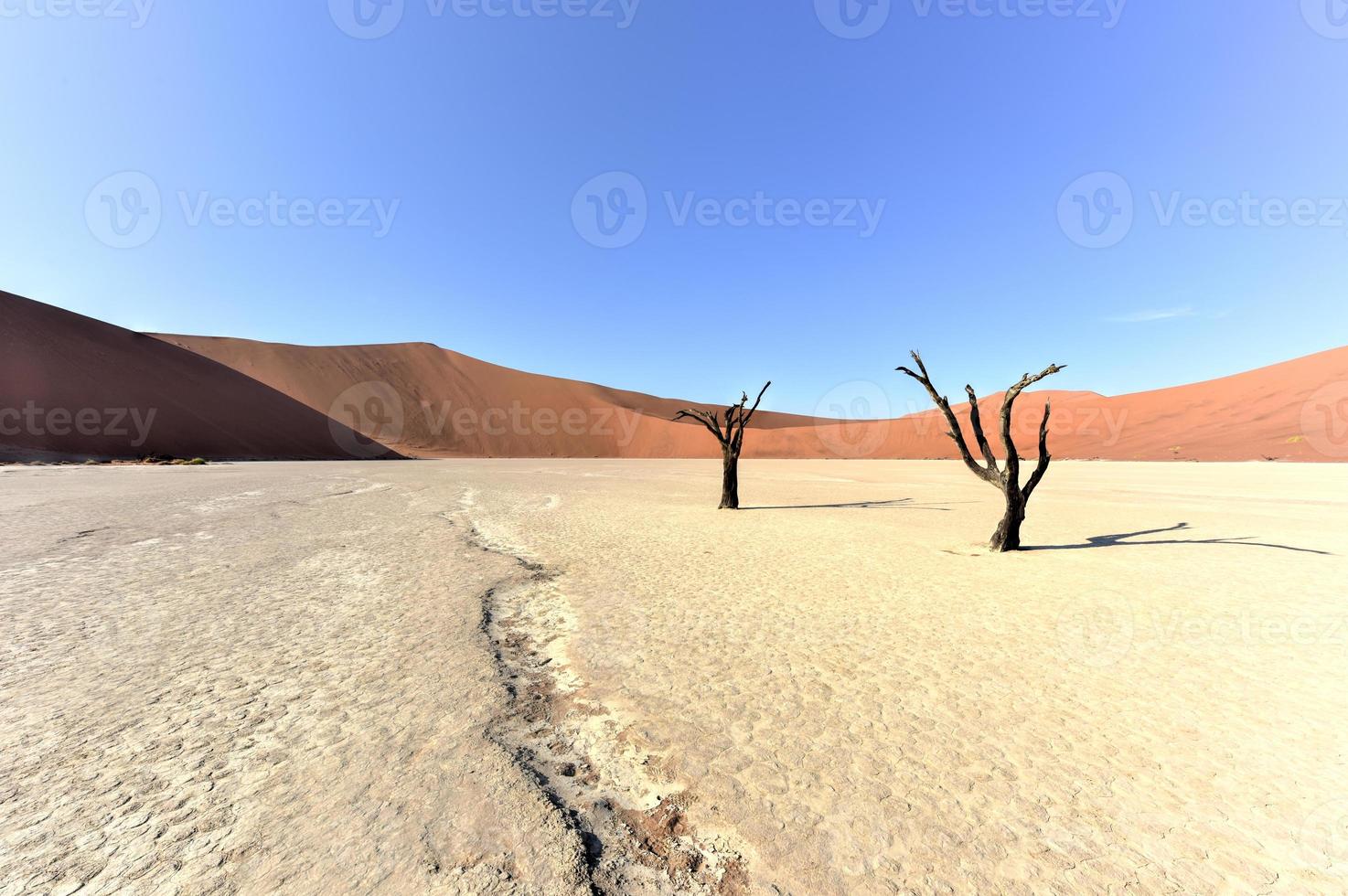 Dead Vlei, Namibia photo