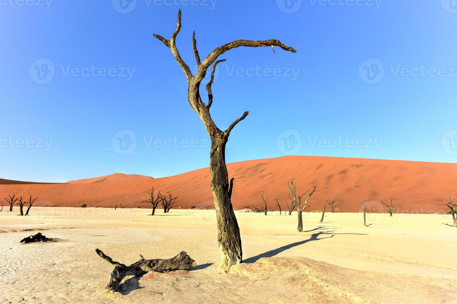 dead vlei, namibia foto