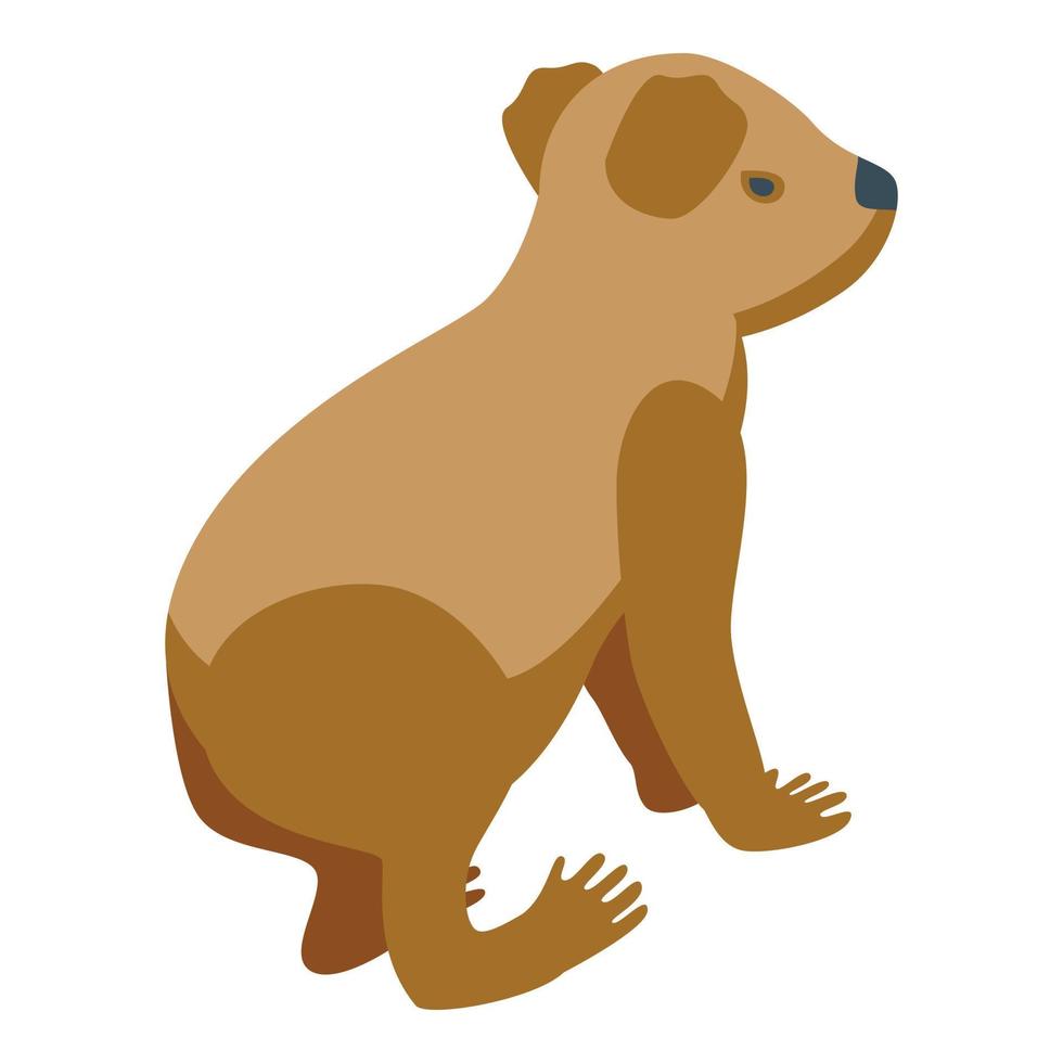 Brown koala icon isometric vector. Cute bear vector