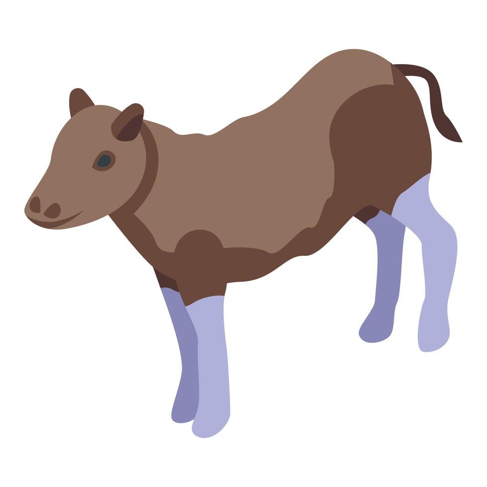 Buffalo kid icon isometric vector. American bison vector