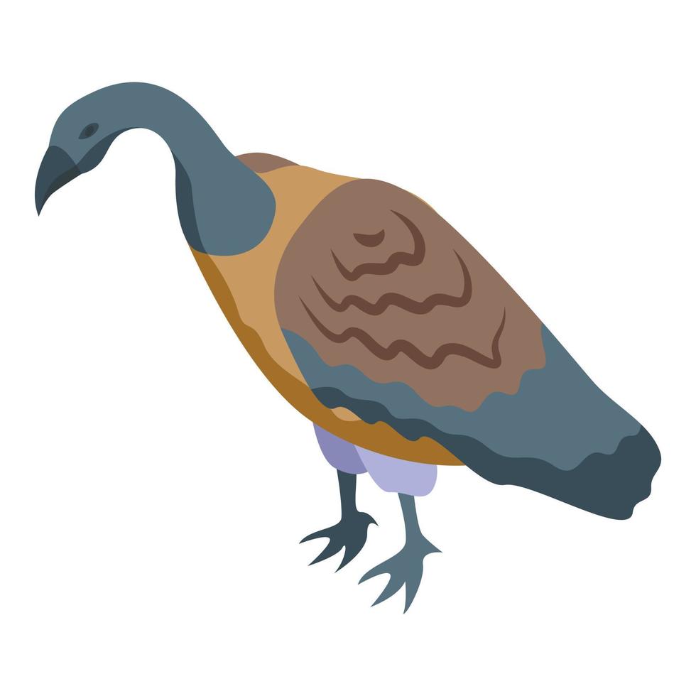 vector isométrico del icono del buitre del zoológico. pájaro malvado