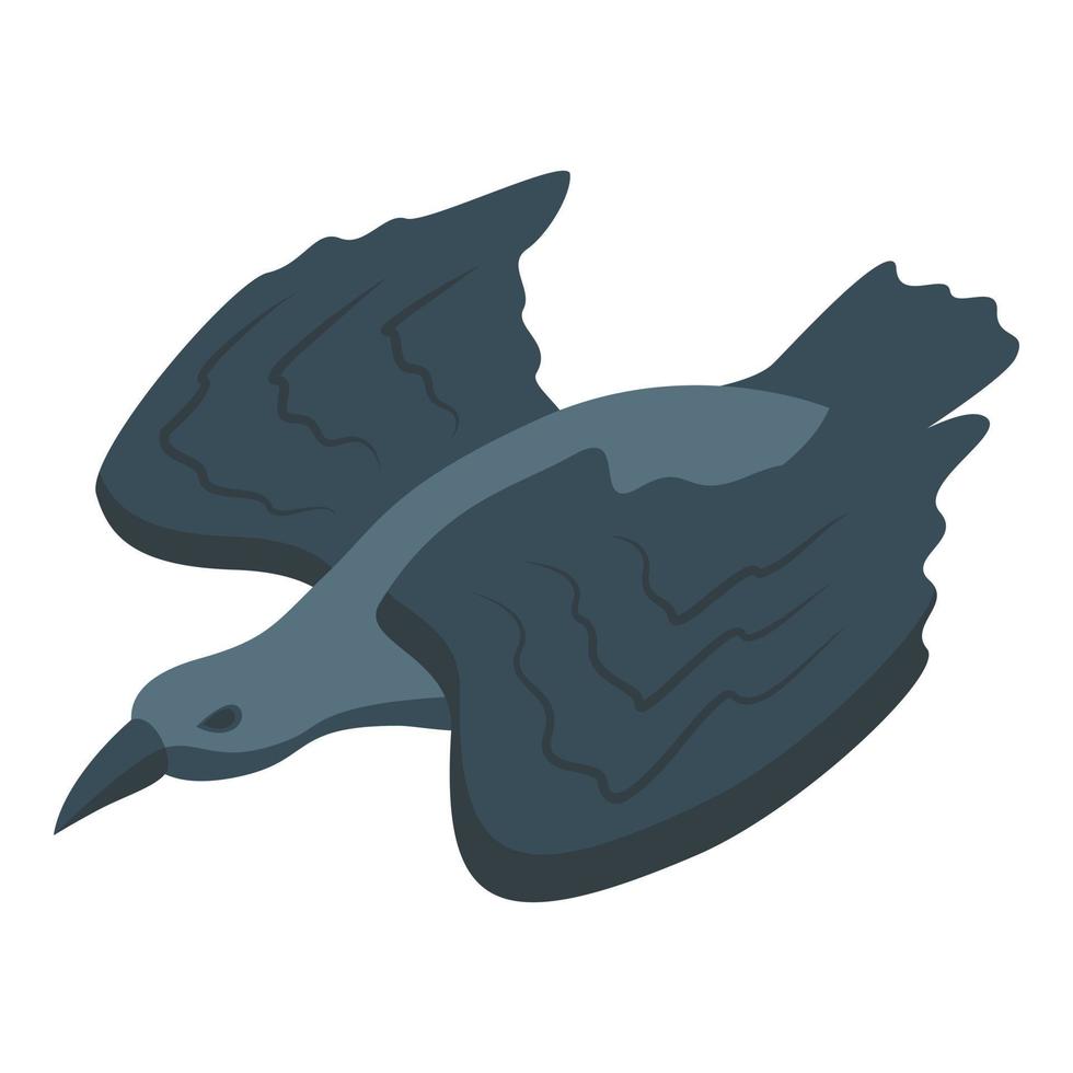 Fly raven icon isometric vector. Crow bird vector