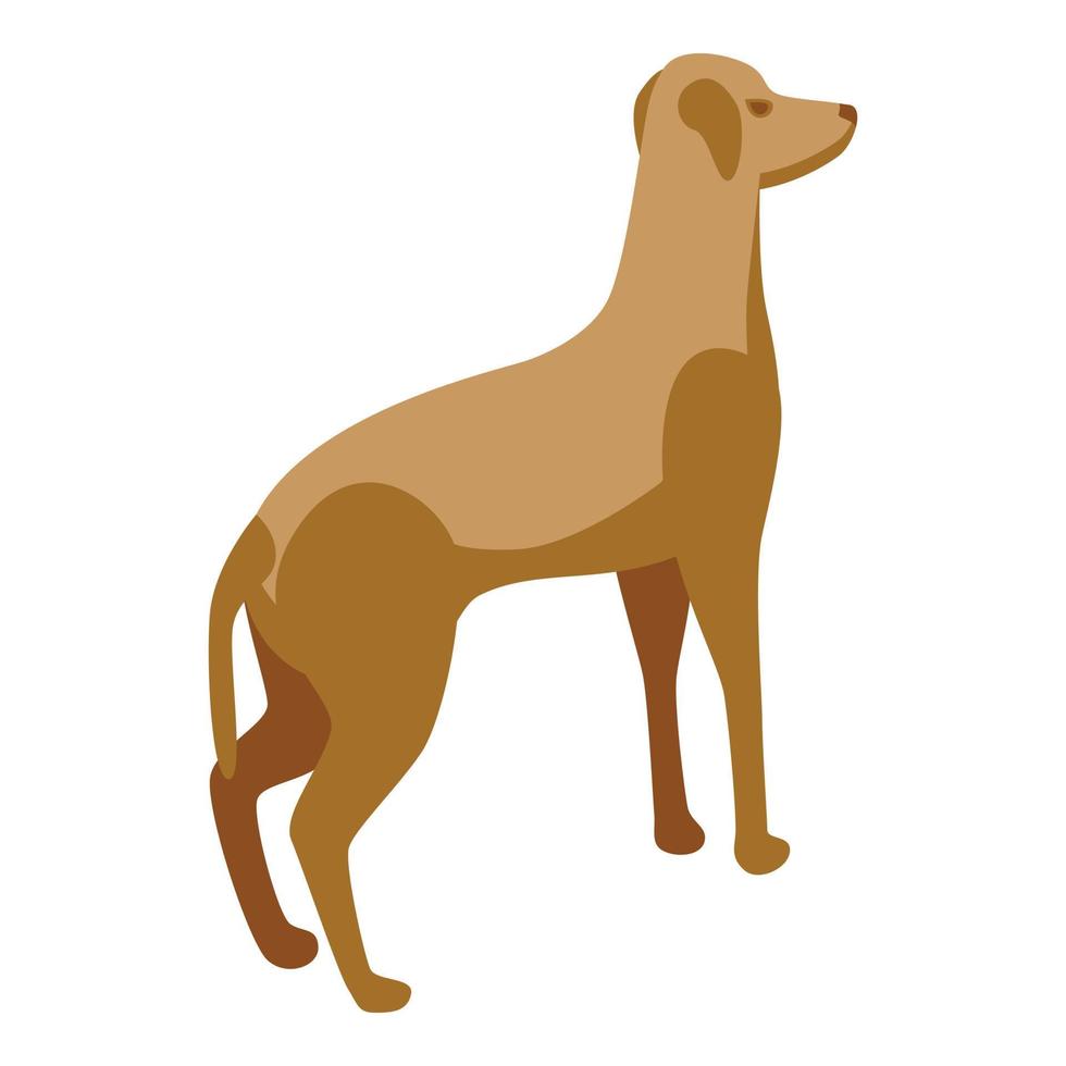 icono de perro de carrera vector isométrico. mascota de animales