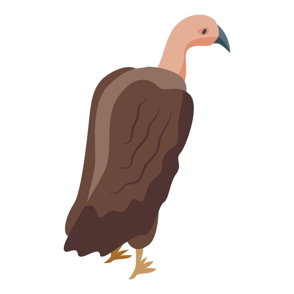 Griffon icon isometric vector. Vulture bird vector