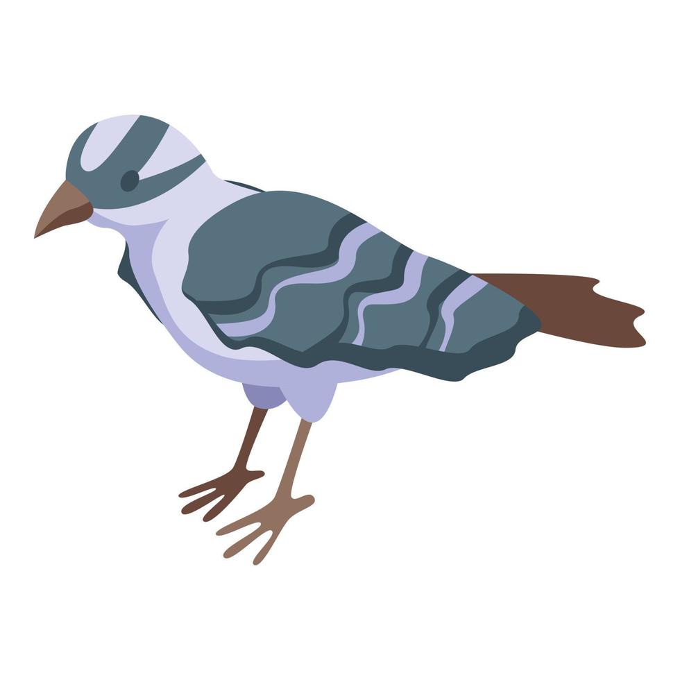 Grey sparrow icon isometric vector. Bird branch vector