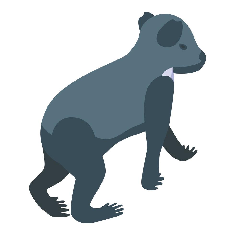 vector isométrico del icono del oso negro. lindo koala
