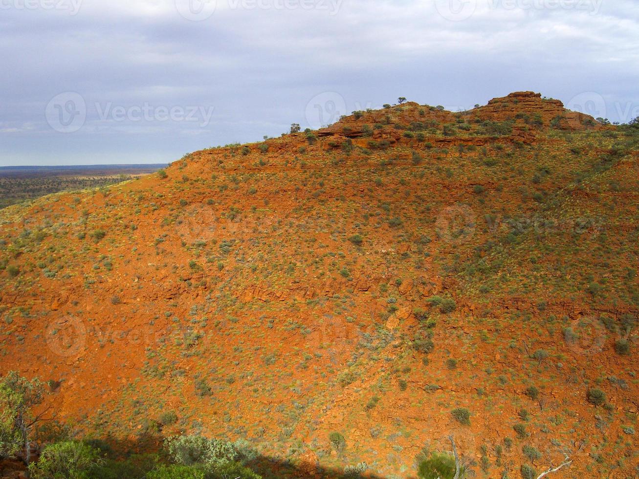 Panoramic view of Kings Canyon, Central Australia, Northern Territory, Australia photo