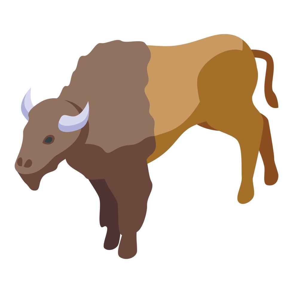 Dakota buffalo icon isometric vector. American bison vector