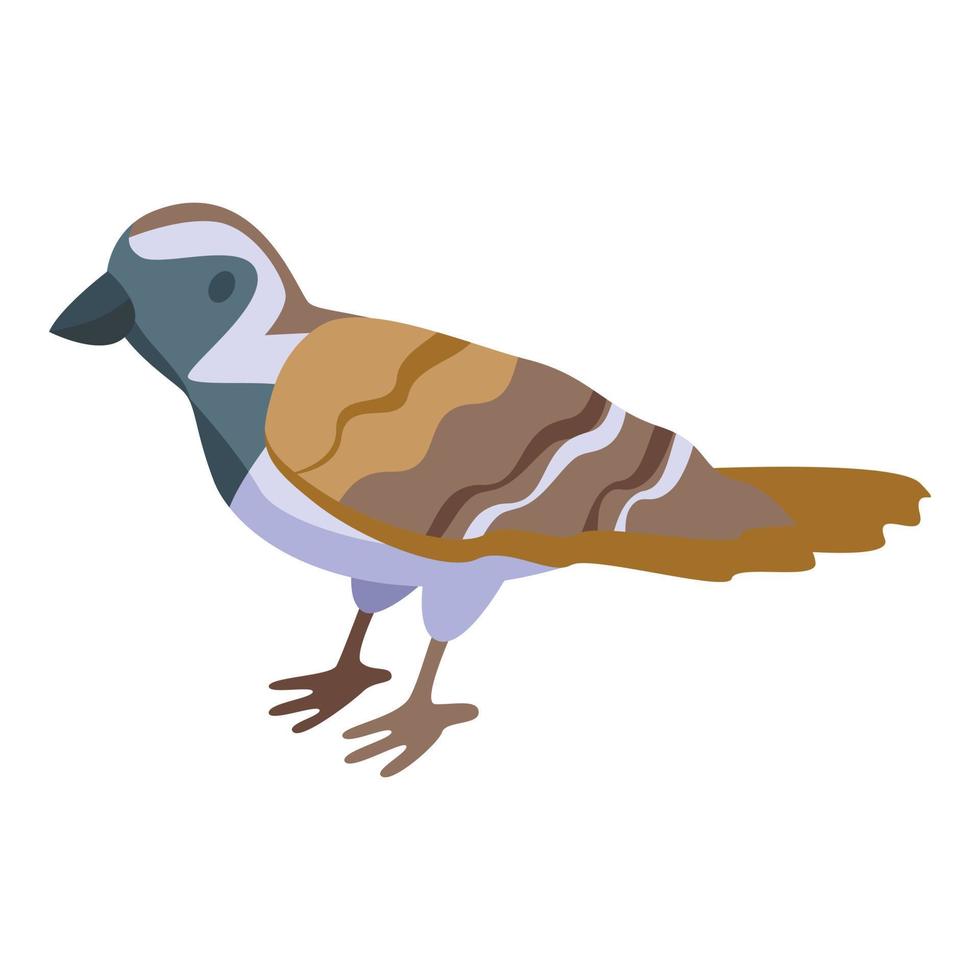 Tree sparrow icon isometric vector. Bird house vector