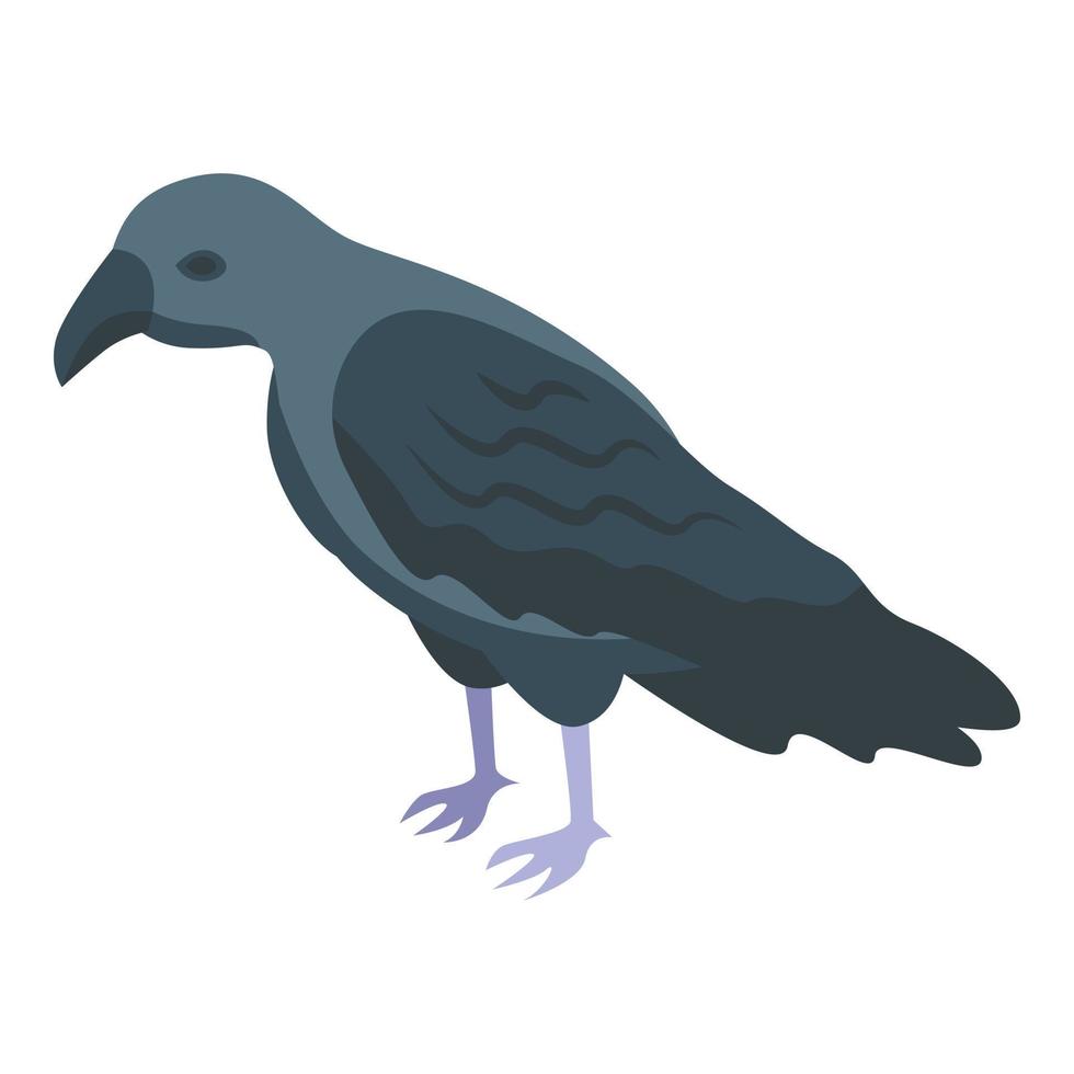 Raven icon isometric vector. Bird crow vector