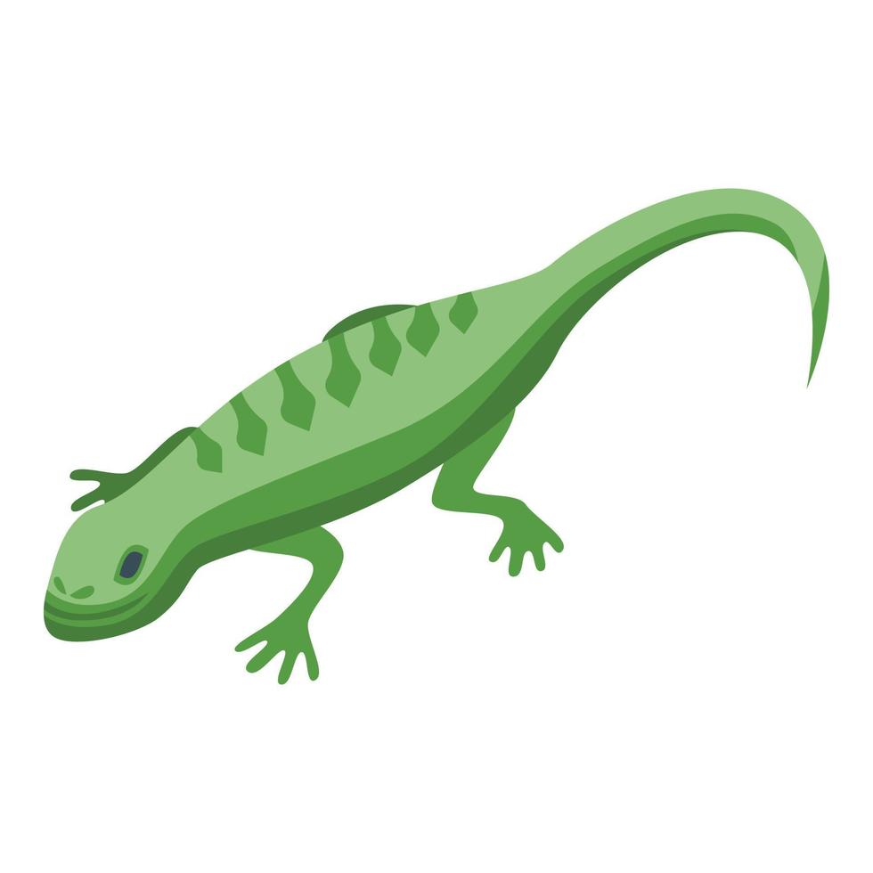 Green reptile icon isometric vector. Lizard frog vector