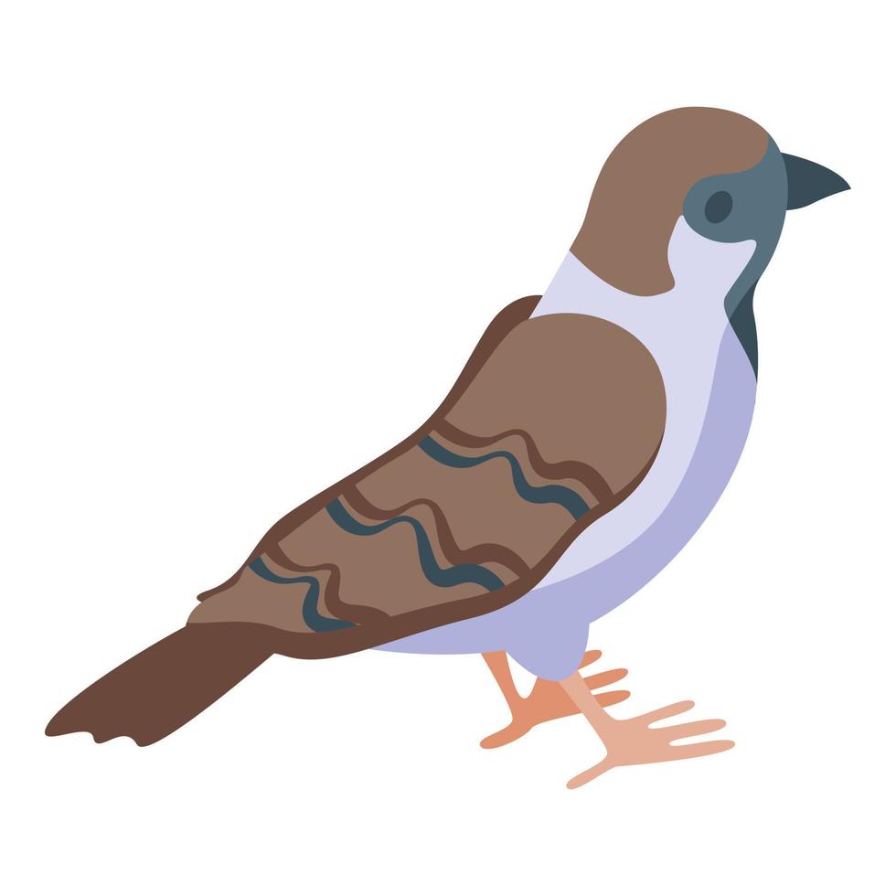 pequeño icono de gorrión vector isométrico. pájaro marrón