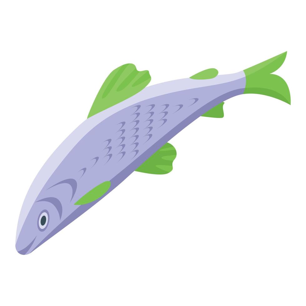 arenque pescado icono vector isométrico. mar pacifico