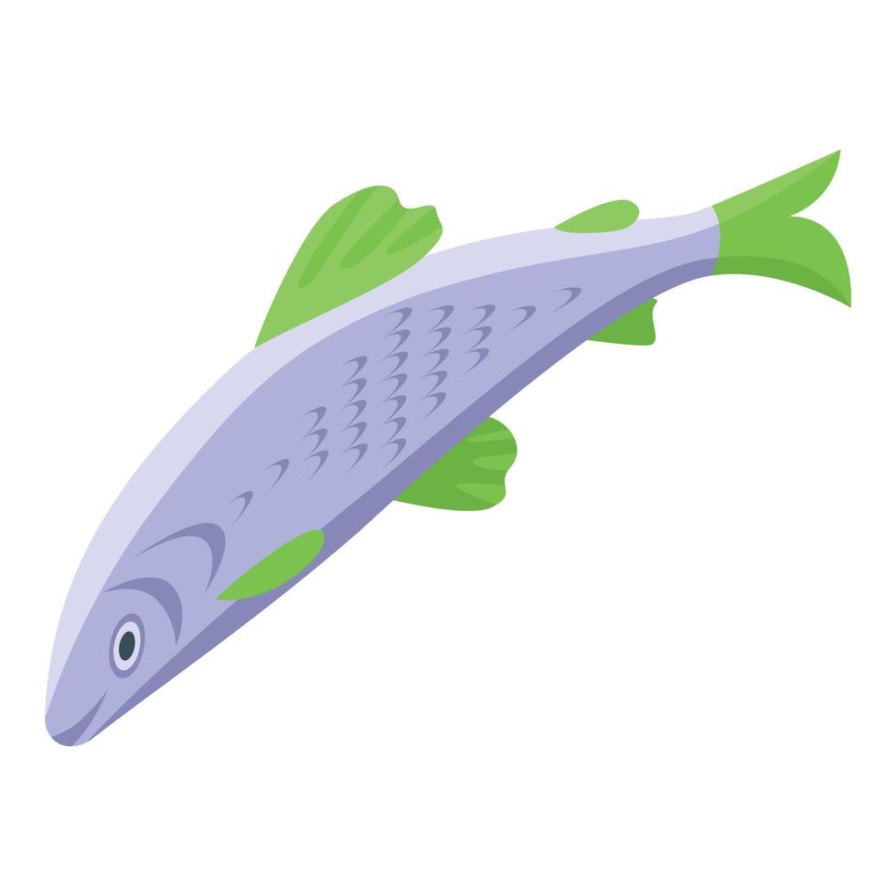 Herring fish icon isometric vector. Pacific sea vector