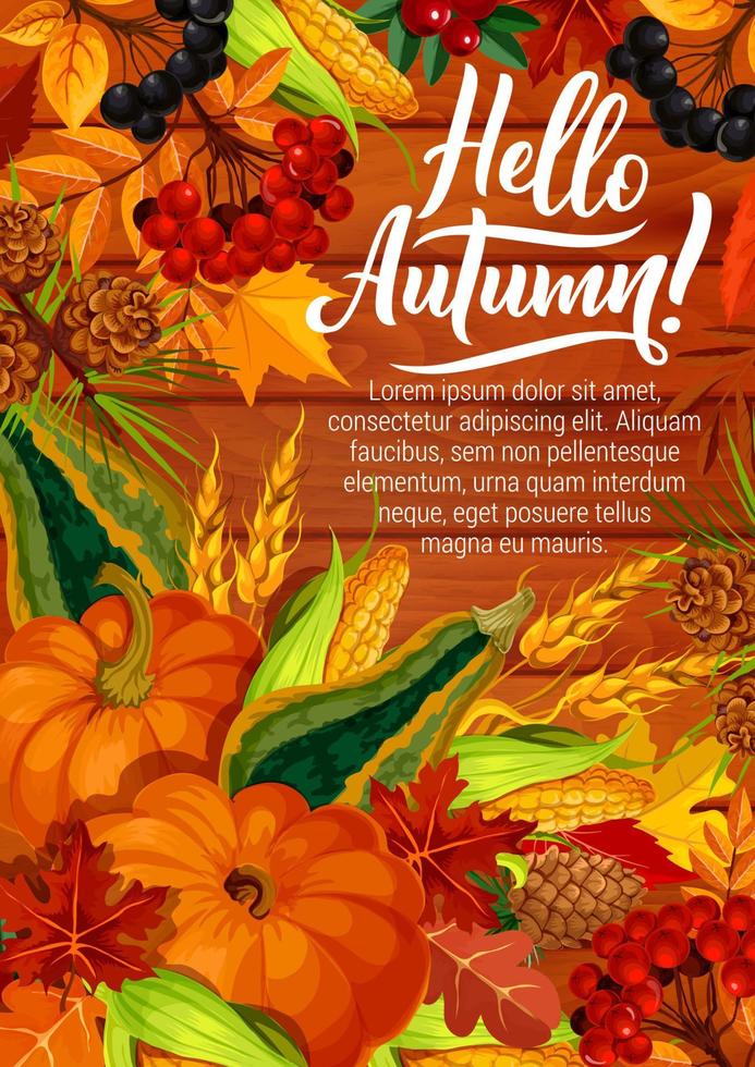 Hello autumn poster with pumpkin and corn harvest vector