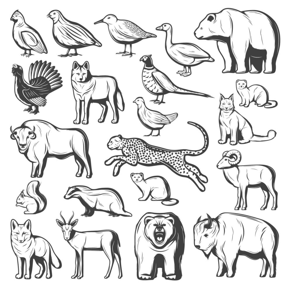 Hunting monochrome animals and birds vector
