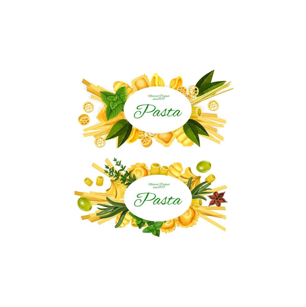 Italian pasta, spices, herbs and olives vector