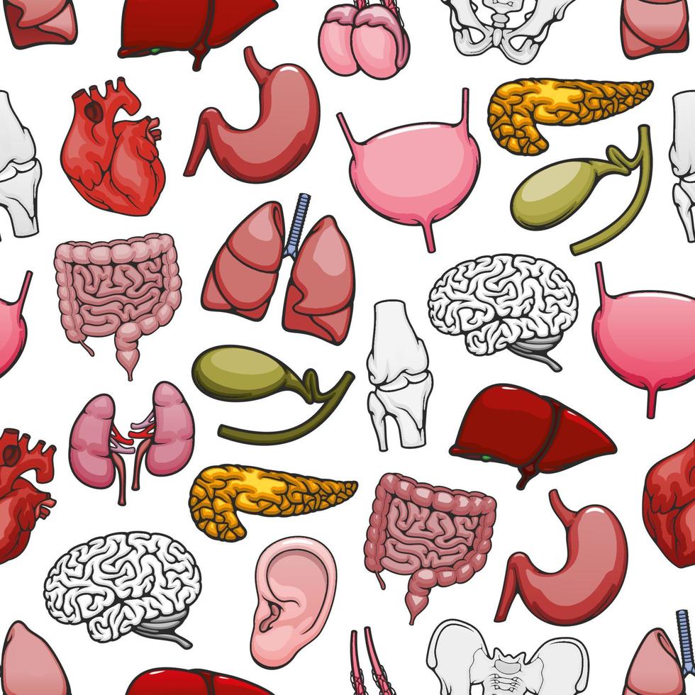 Human organs and bones medical seamless pattern vector