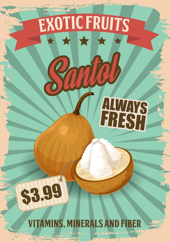 Exotic fruit santol retro poster with tropic food vector