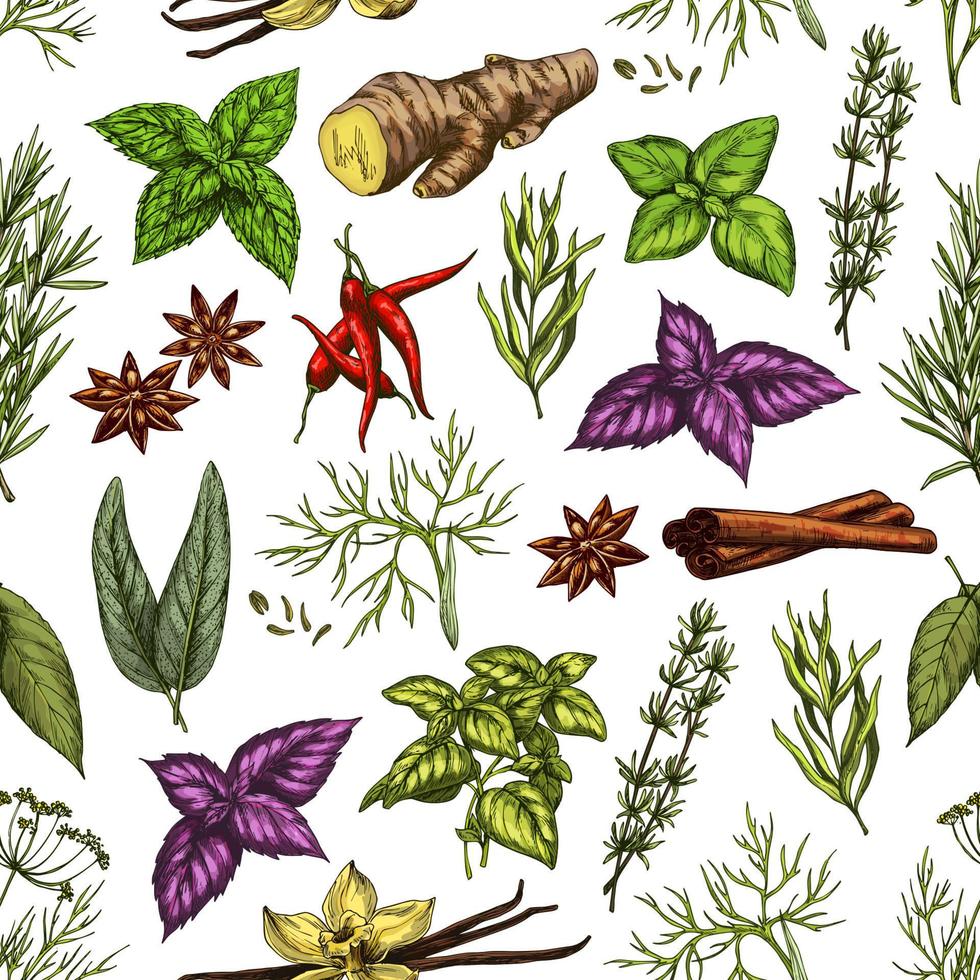 Organic herbs and spice seasonings sketch pattern vector