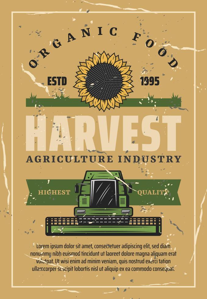 Harvest retro poster, sunflower and combine vector