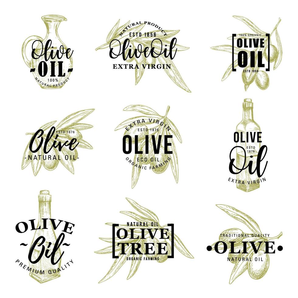 Olive oil icons with leaves and bottle vector